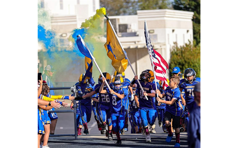 Anderson Cubs